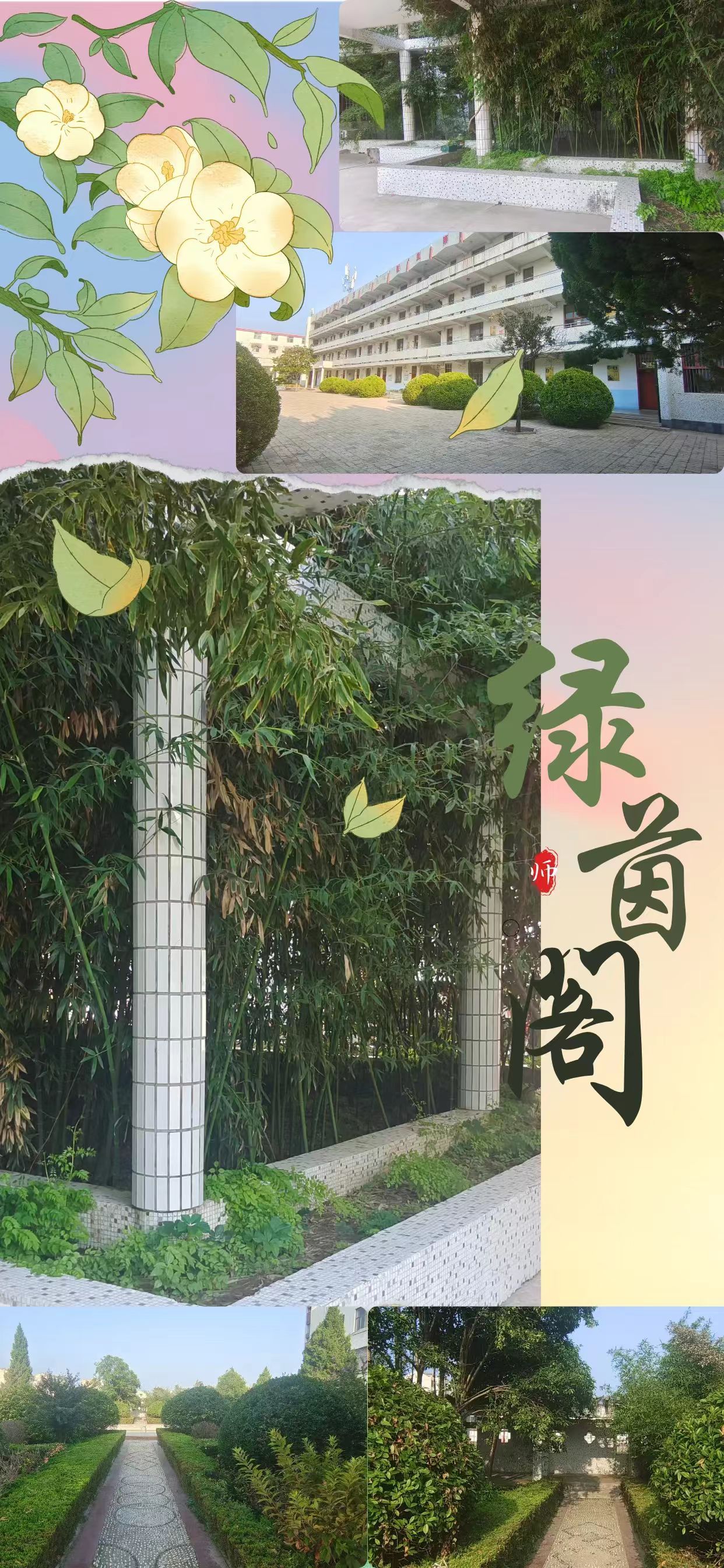 qy球友会