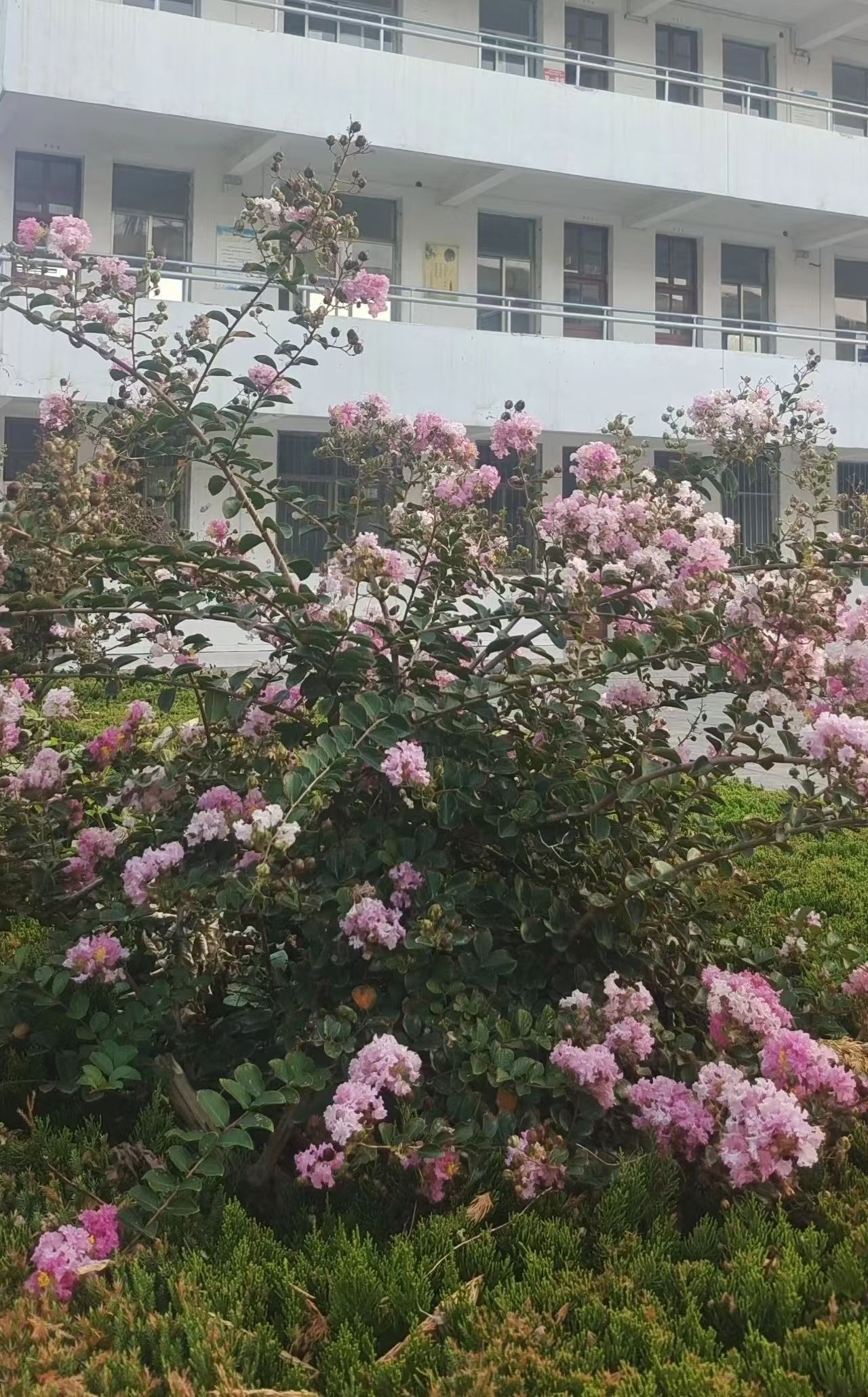 qy球友会