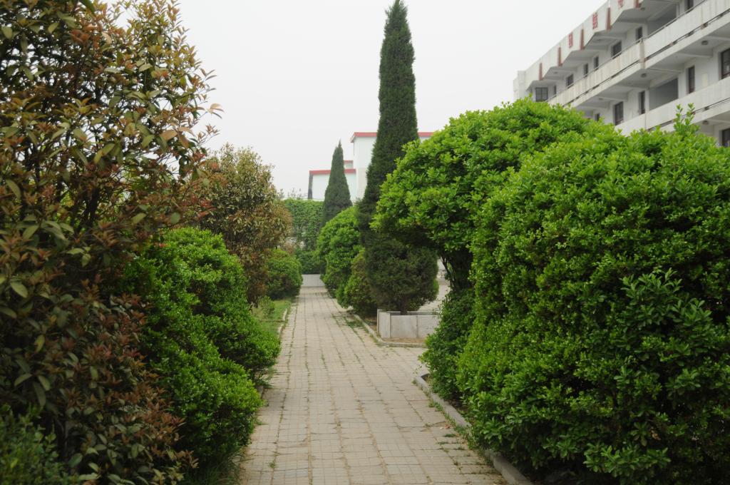 qy球友会