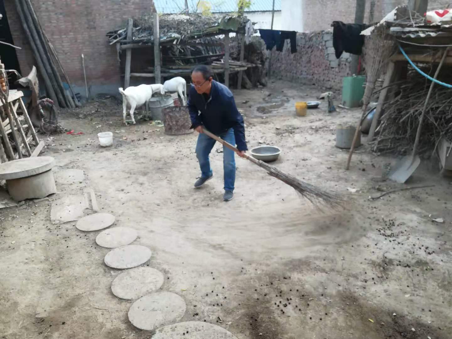 qy球友会