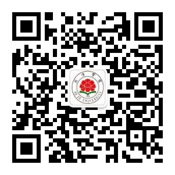 28926208679715956