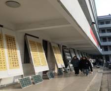 3ff8bf709c06c2d05485485418391d1