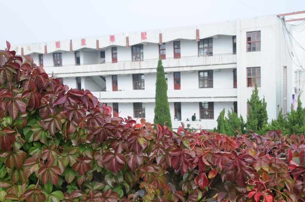 qy球友会